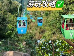 -野象谷景区