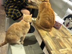 -小时光咖啡馆(开森度假森林店)