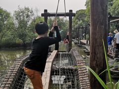 -长兴太湖图影湿地文化园