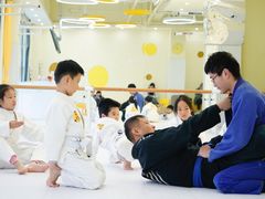 -勇气斑马·巴西柔术&跆拳道(浦东三林店)