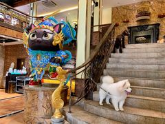 -more than meow吴止猫主题餐厅(承德 中船汇店)