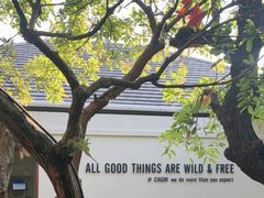 -Chom Cafe and Restaurant