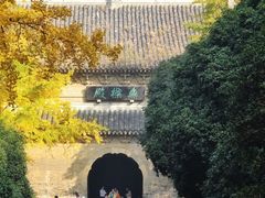 -灵谷景区