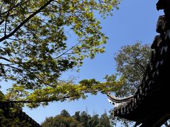 -何园