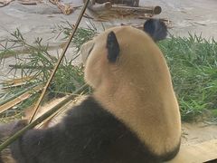 -杭州野生动物世界