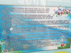 -天山海世界·米立方