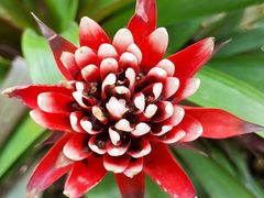 -北京植物园-展览温室