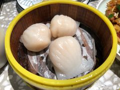 -金香匯晚茶(浑南店)