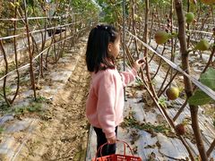 -武汉世外桃源农庄