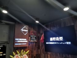 点击看大图 -藤野造型