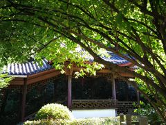 -十八棵（老龙井）御茶园(老龙井店)