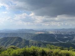 -黄埔油麻山森林公园
