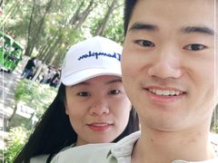 -合肥滨湖国家森林公园