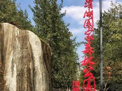 -合肥滨湖国家森林公园