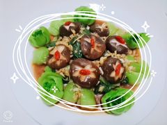 -好孕妈妈月嫂(沈河总店)