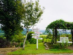 -黄色小屋