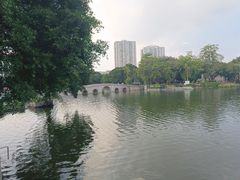 -荔湾湖公园