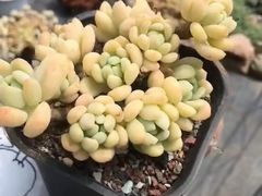 -东北大院·东北菜(三台子店)