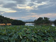 -江心屿景区