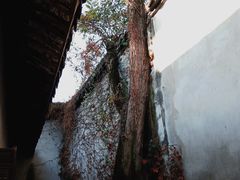 -乌镇东栅景区