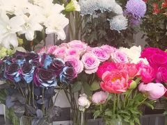 -FEI FEI FLOWER鲜花店·气球派对·宝宝宴布置(虹口德必运动Loft店)