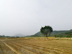 -风云岭森林公园