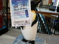 -尚泰清迈机场购物中心