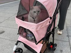 -深圳湾万象城(南山店)