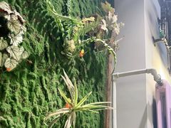 -小花花炭火烤肉·十五年延吉风味(左家庄店)