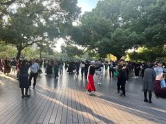 -中山公园