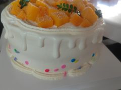 -今日·TODAY手作低脂动物奶油蛋糕定制(高新万达店)