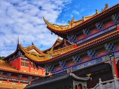-东莞市大岭山森林公园
