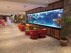 -弘安丽水温泉酒店