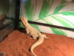 -藦茜花园宠物主题亲子互动体验馆(国顺东路店)