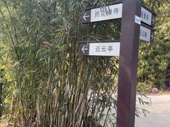 -雨花胜境