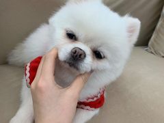 -怪兽屋·羊驼·猫咖·狗咖(俊华广场店)