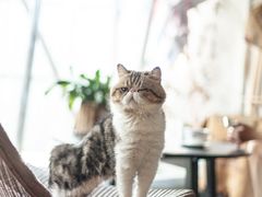 -参差咖啡(水果湖公园店)