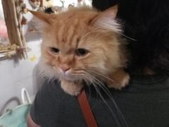 -小时光咖啡馆(北锣鼓巷店)