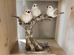 大堂-ZING COFFEE 镜咖啡