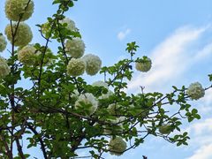 -大龙山(地铁站)