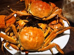 -蓝钻·国际美食海鲜自助百汇(西直门店)