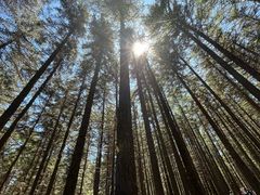 -芦芽山旅游度假区