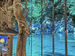 -桂满陇·海市蜃楼·黑金(国金店)