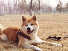 -瀛海足球主题公园