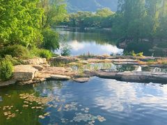 -国家植物园南园