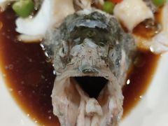 -喜来酌海鲜·饺子(和平一店)