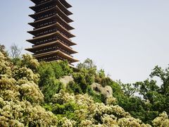 -牛首山文化旅游区