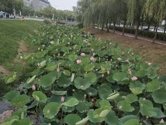 -东南大学(九龙湖校区)