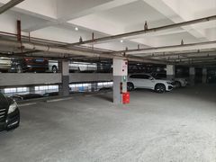 -强生大厦-立体停车场