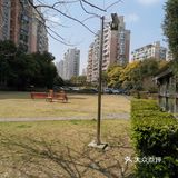 可在这个特殊的日子里，就连小区的绿地里都见不到一个人！